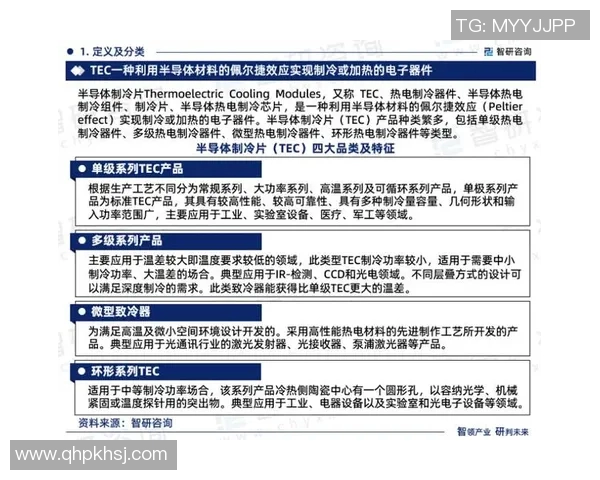 TEC与TYLCoco的全面对比分析探讨各自优势与市场前景